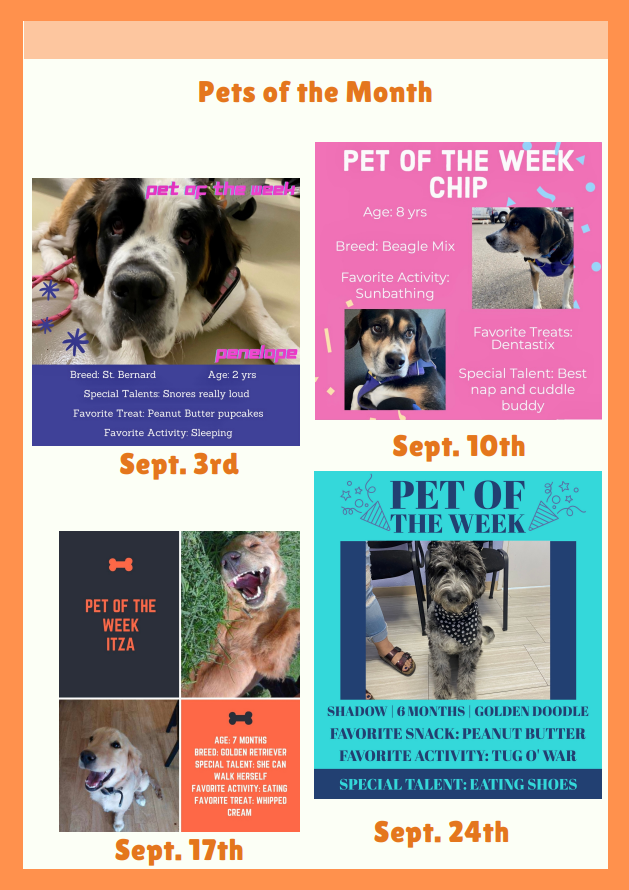 October 2021 Newsletter - Paws N Hooves Veterinary Hospital