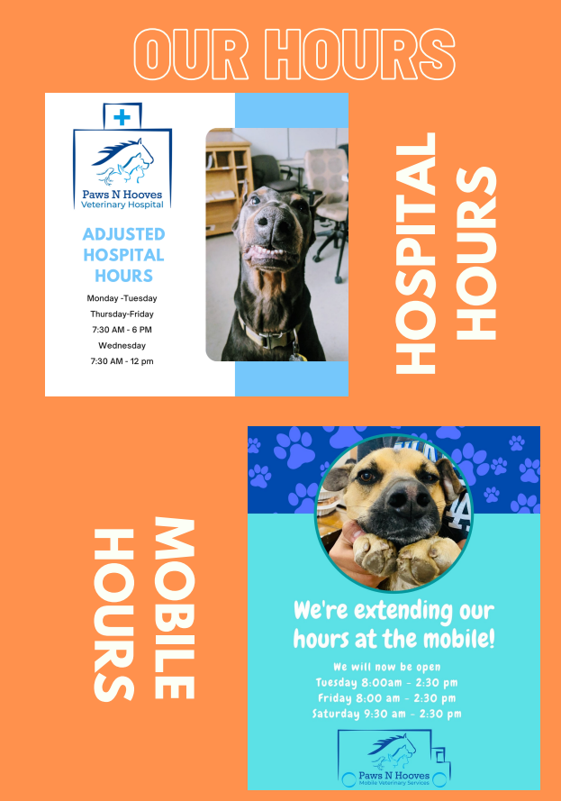 October 2021 Newsletter - Paws N Hooves Veterinary Hospital